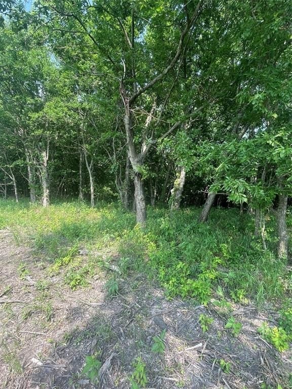 11.85 acres in Hunt County - photo 3