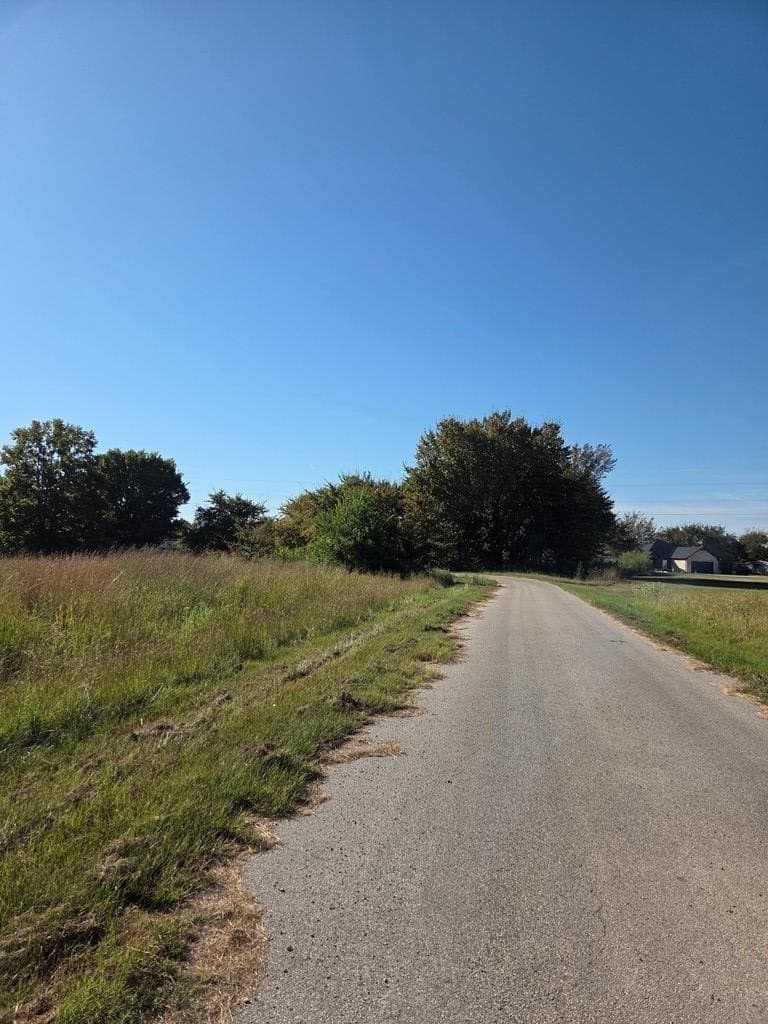 215 acres in Henderson County - photo 6