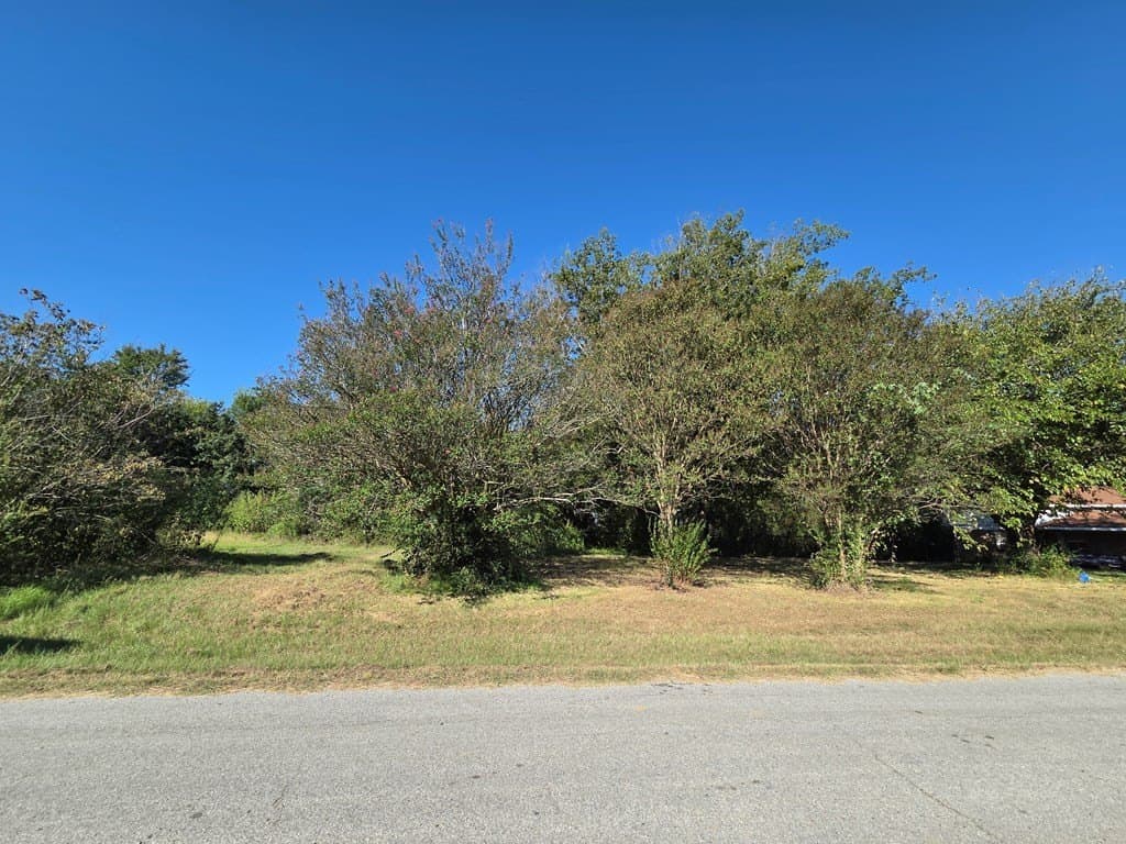 215 acres in Henderson County - photo 5
