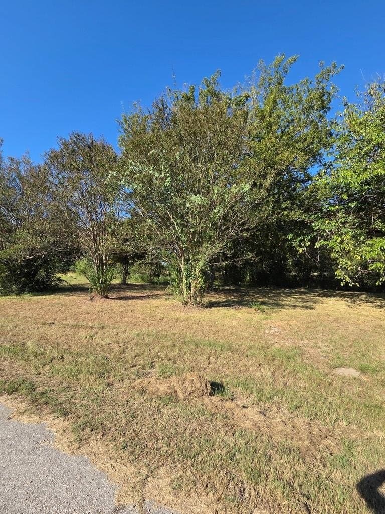 215 acres in Henderson County - photo 4