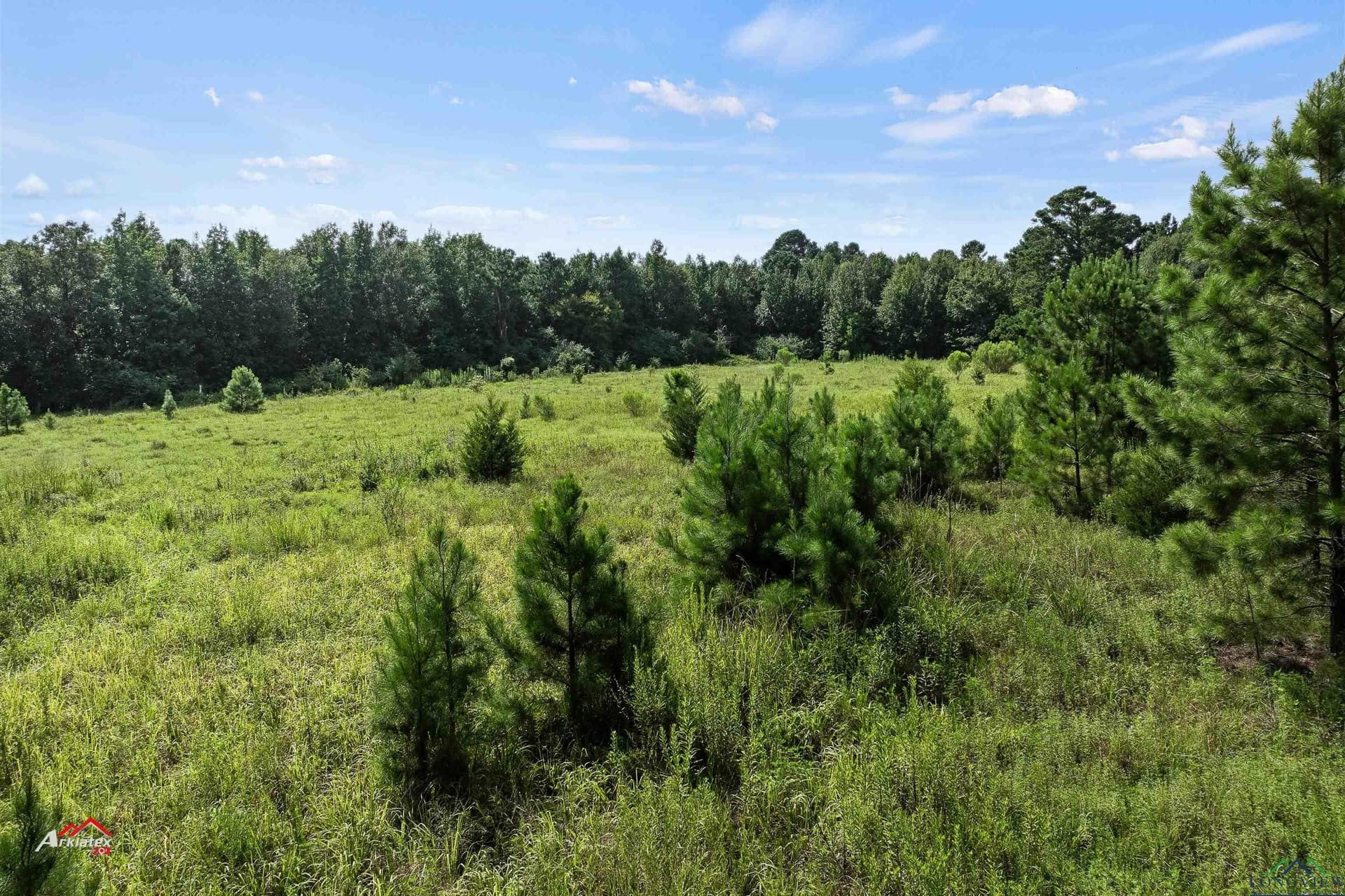 44 acres in Rusk County - photo 13