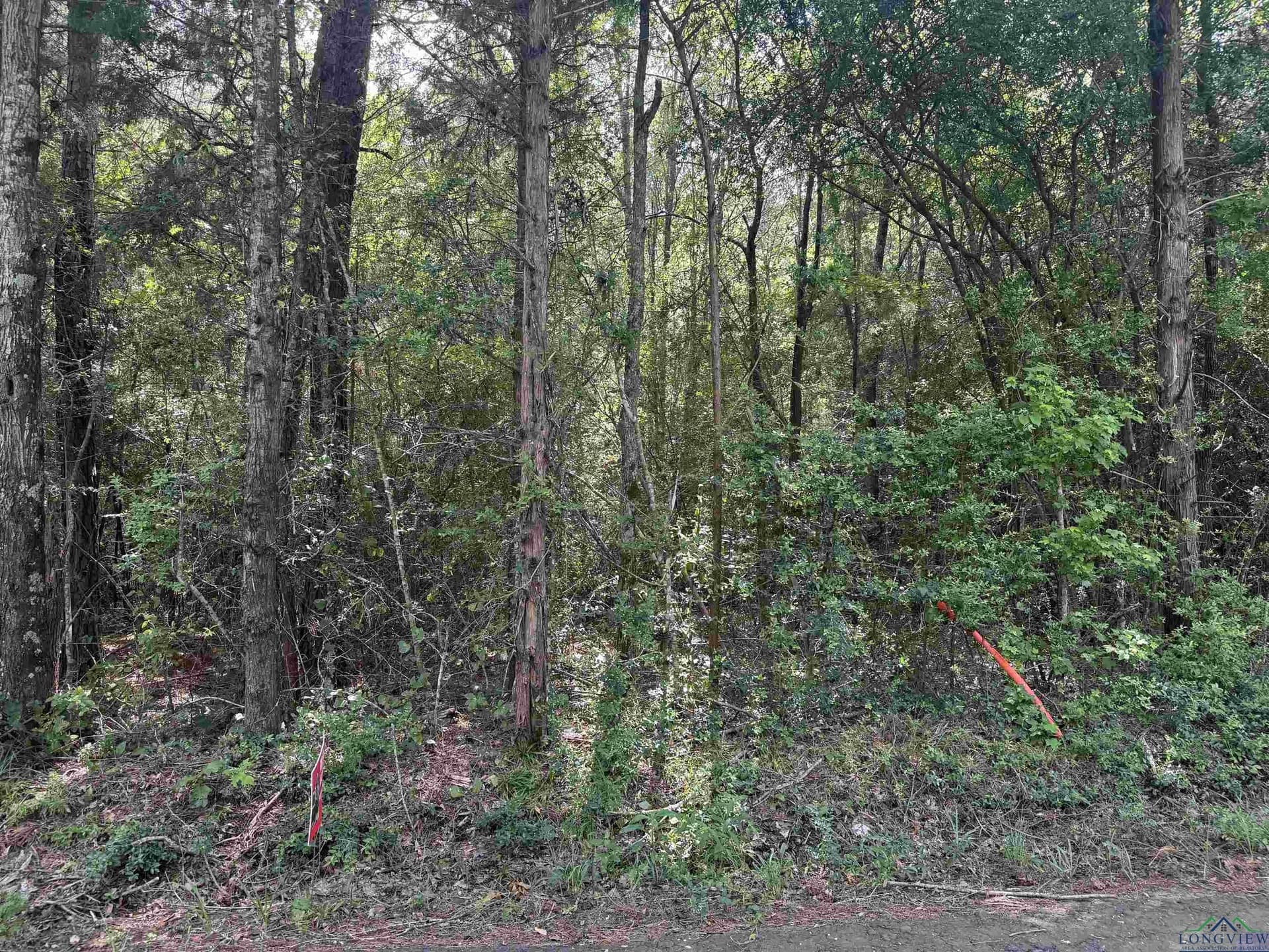 Tbd 44 Acres CR 364 S