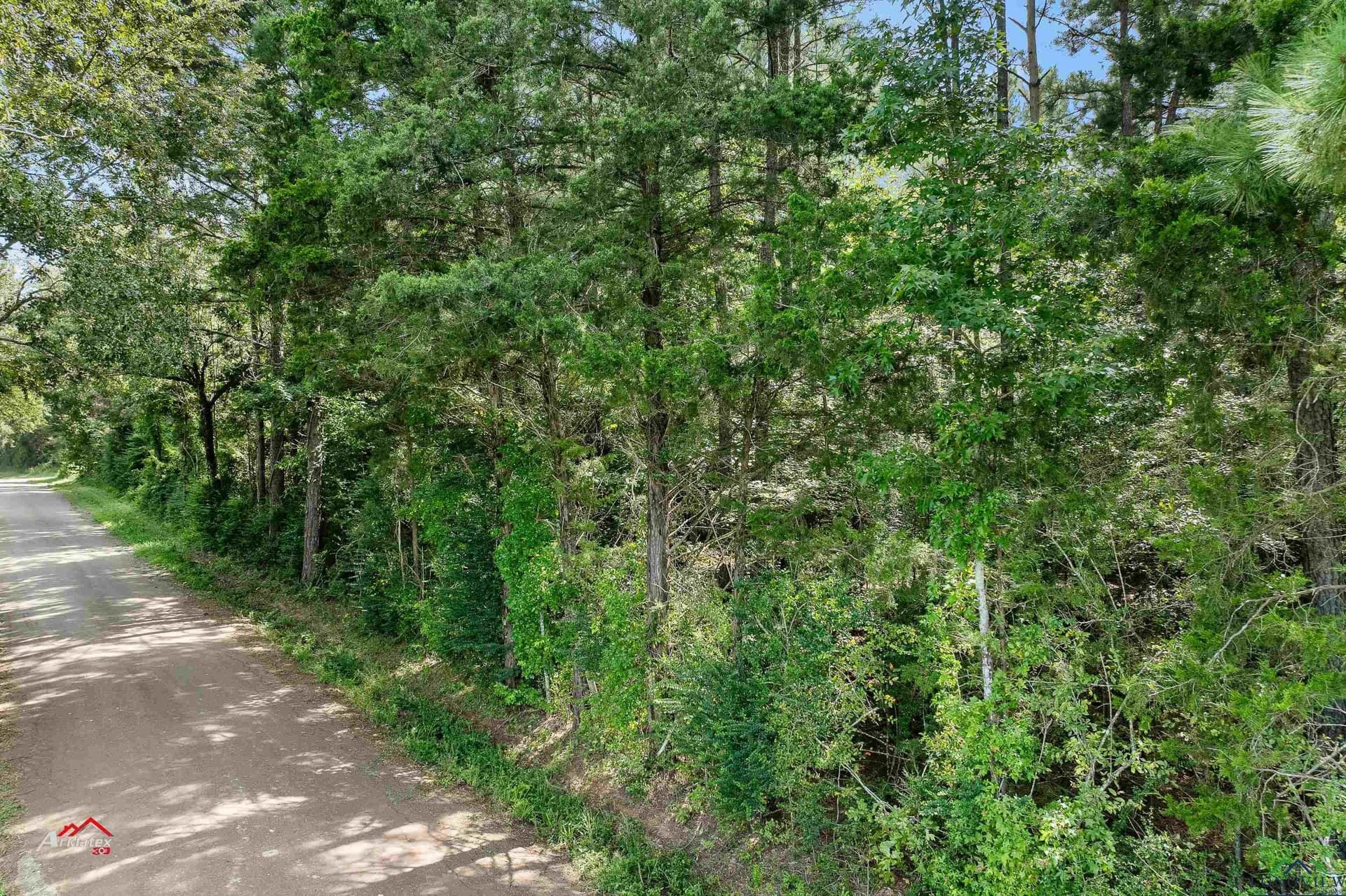 44 acres in Rusk County - photo 5