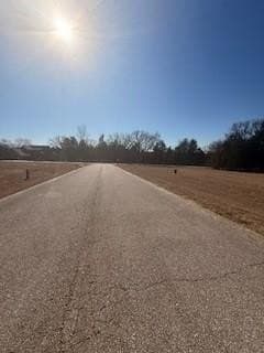 0.17 acres in Grayson County - photo 13
