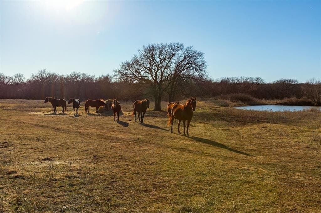 35.5 acres in Jack County - photo 26