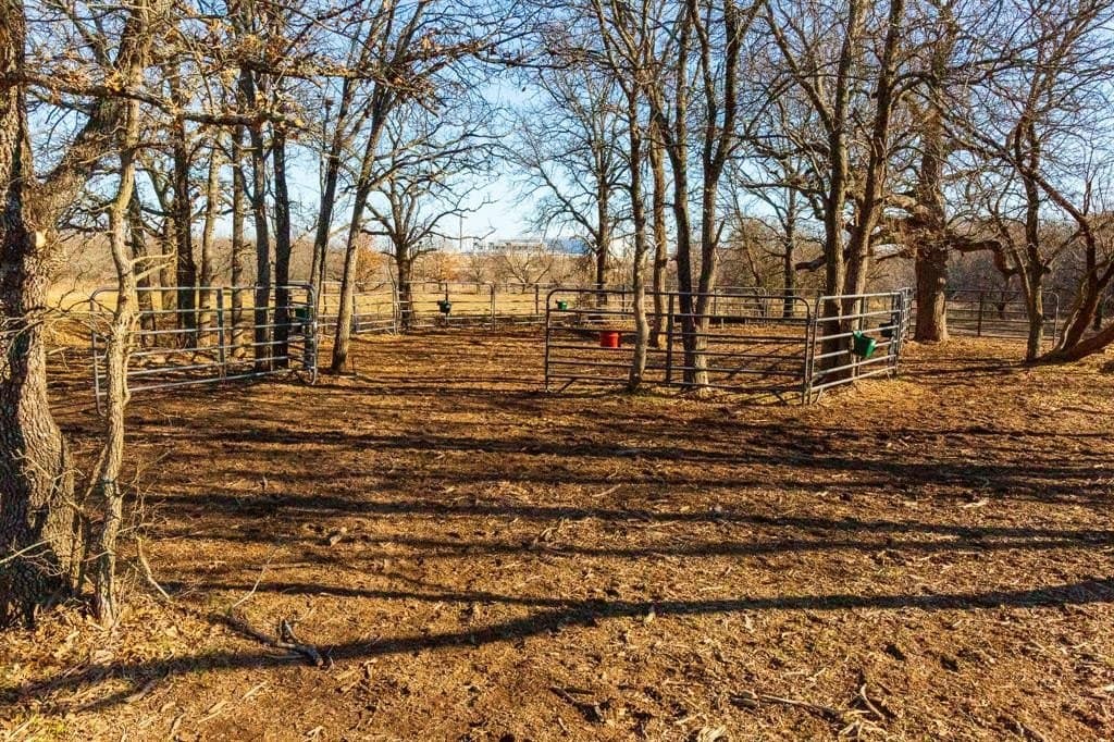 35.5 acres in Jack County - photo 20