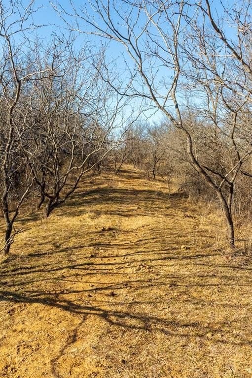 35.5 acres in Jack County - photo 15