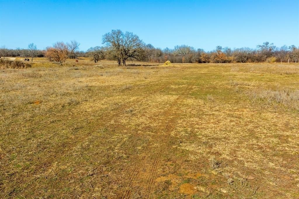 35.5 acres in Jack County - photo 5