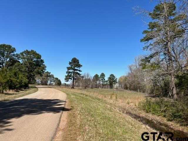 460 acres in Gregg County - photo 15
