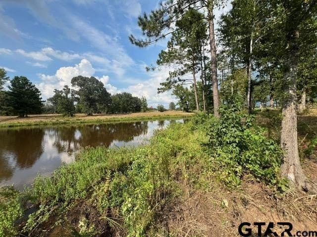 460 acres in Gregg County - photo 30