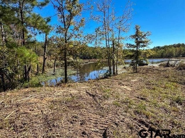 19 acres in Rusk County - photo 5