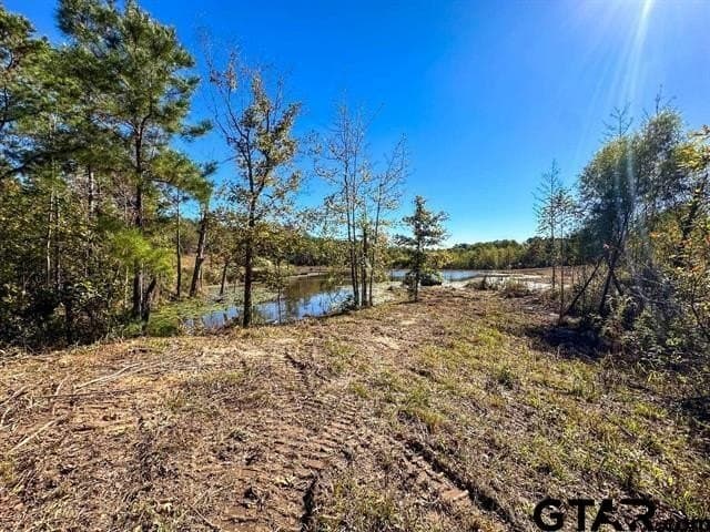 19 acres in Rusk County - photo 10