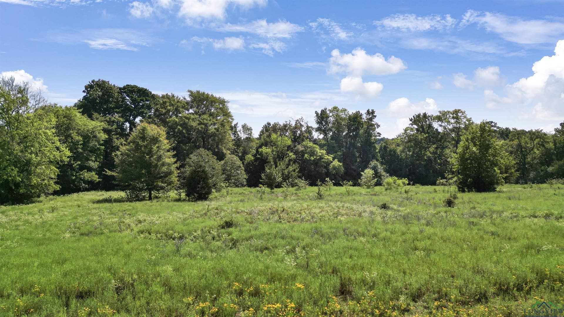 18.18 acres in Gregg County - photo 14