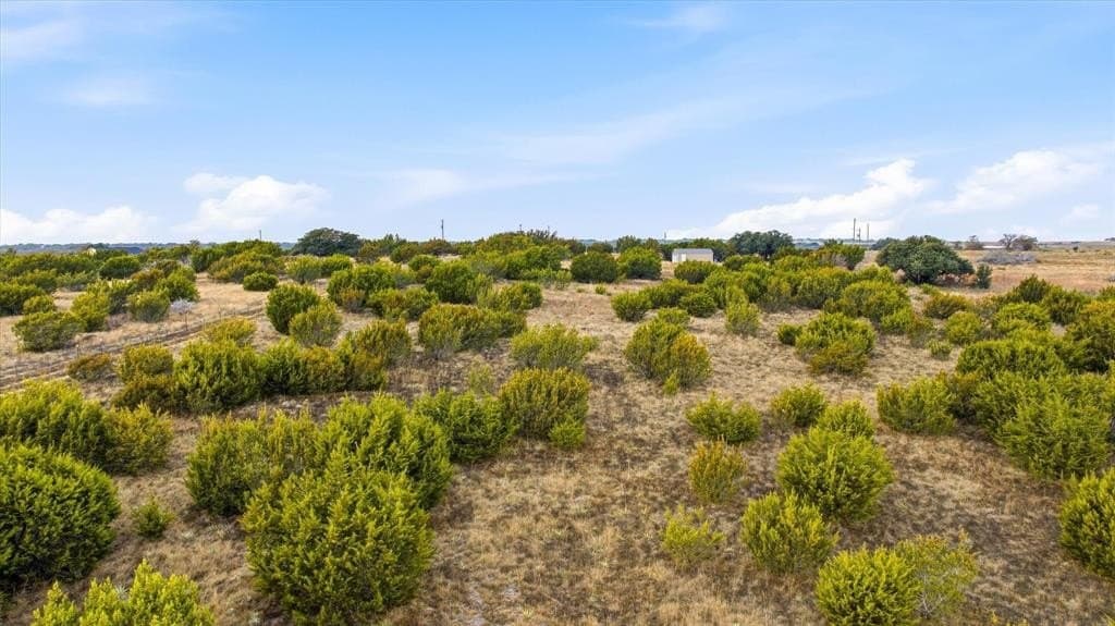 10.18 acres in Erath County - photo 16