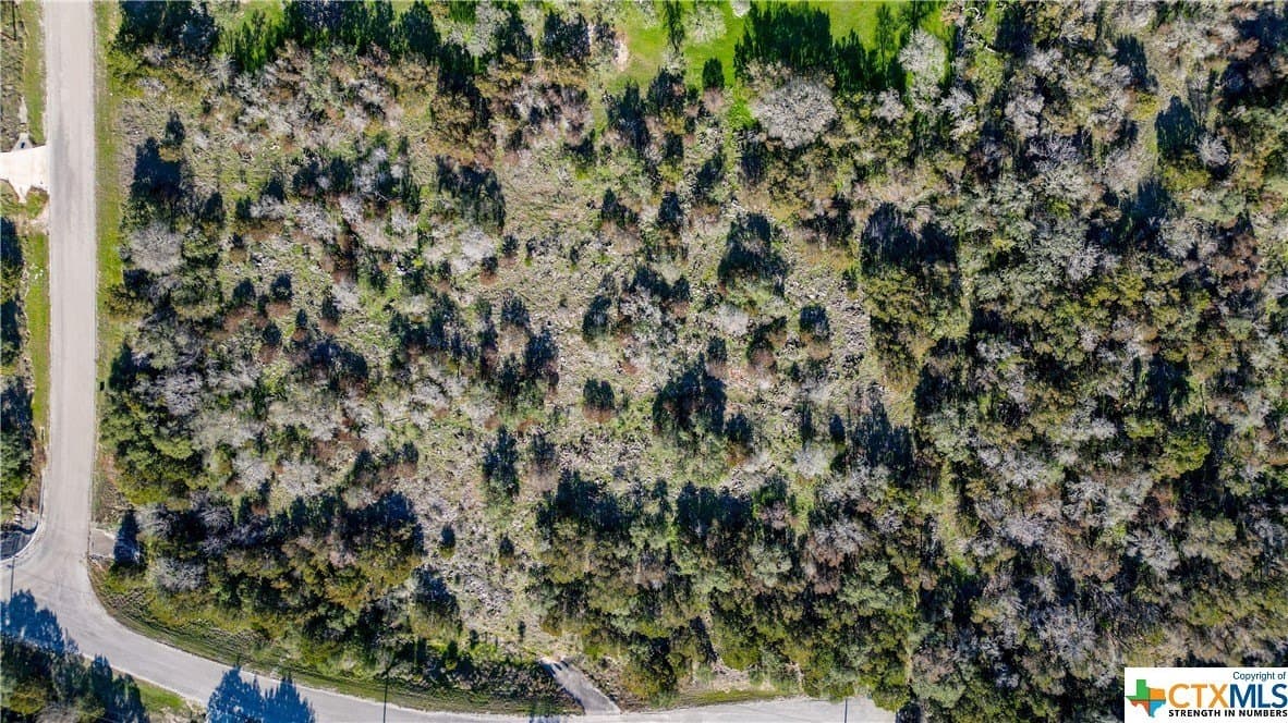 3.36 acres in Comal County - photo 13