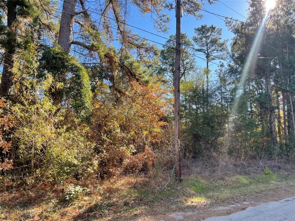 0.12 acres in Henderson County - photo 3