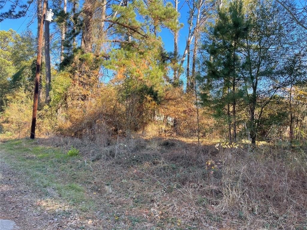 0.12 acres in Henderson County - photo 4