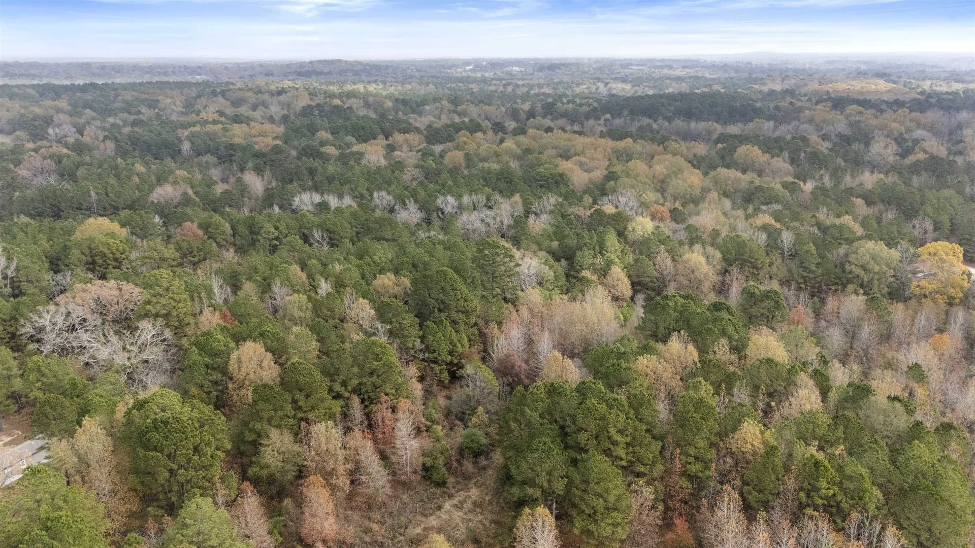 87 acres in Gregg County - photo 5