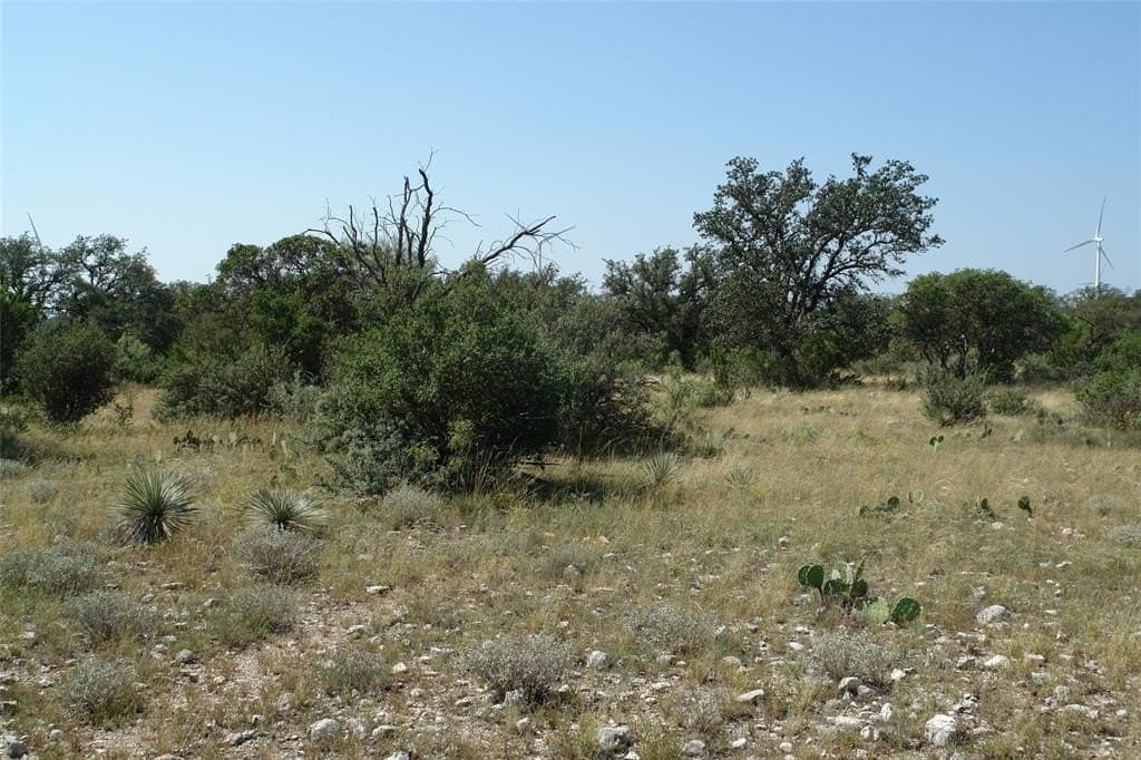 110 acres in McCulloch County - photo 26