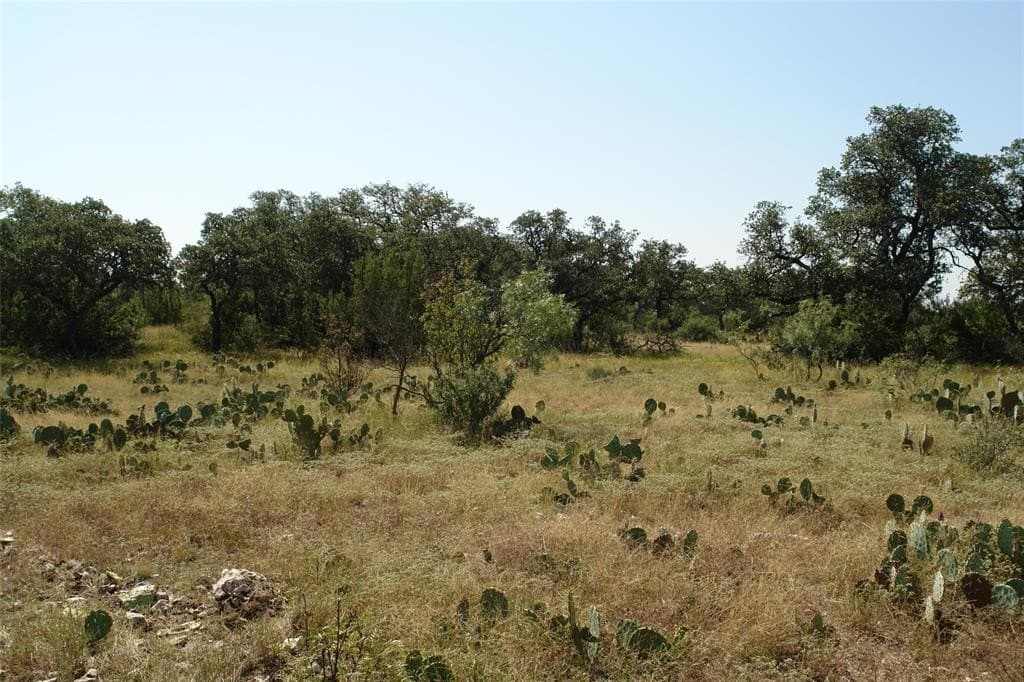 110 acres in McCulloch County - photo 23