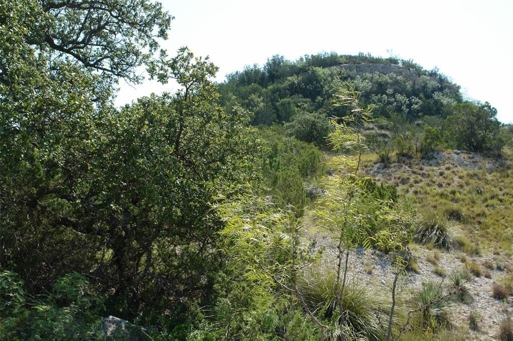 110 acres in McCulloch County - photo 15
