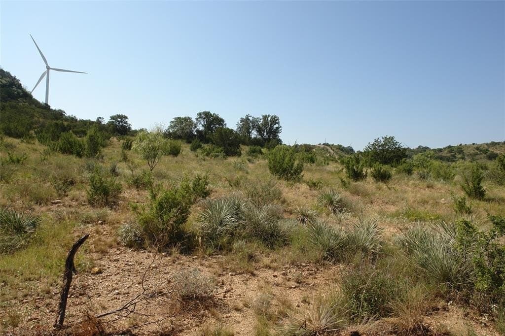 110 acres in McCulloch County - photo 9