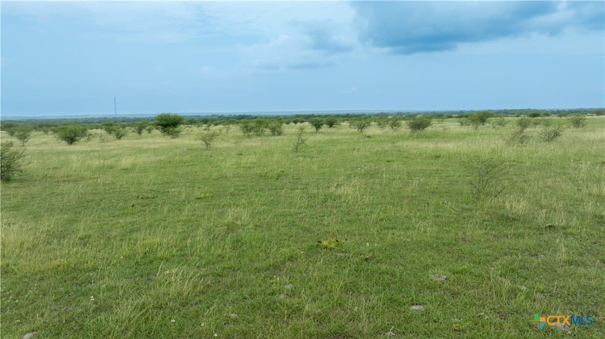 10.01 acres in DeWitt County - photo 14