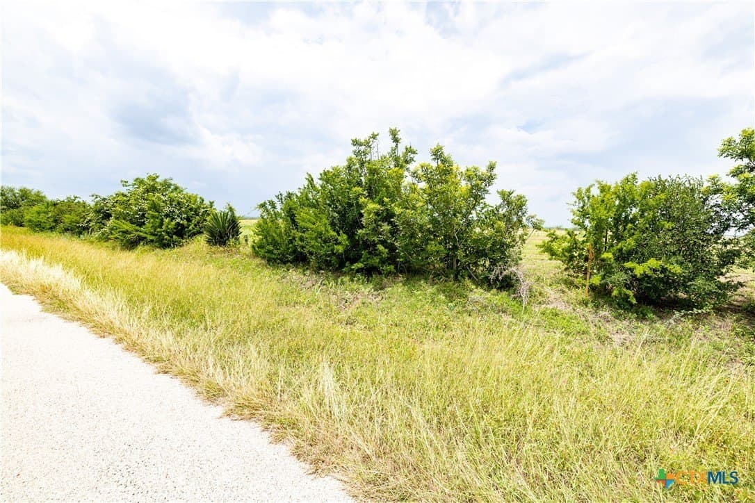 10.01 acres in DeWitt County - photo 9