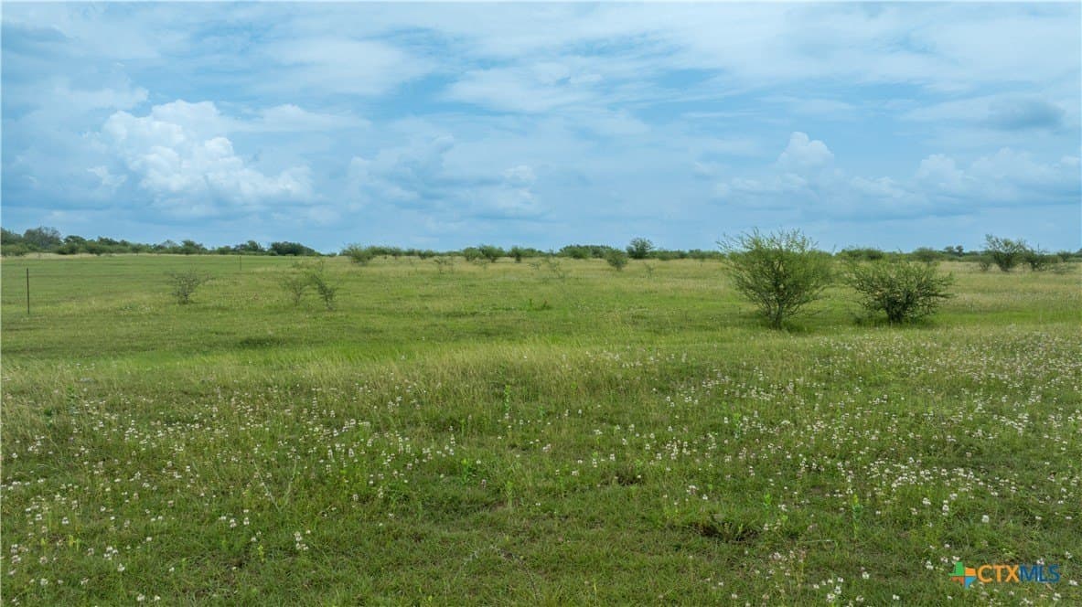 10.01 acres in DeWitt County - photo 4