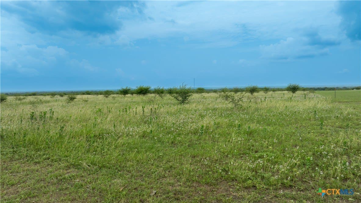 10.01 acres in DeWitt County - photo 12