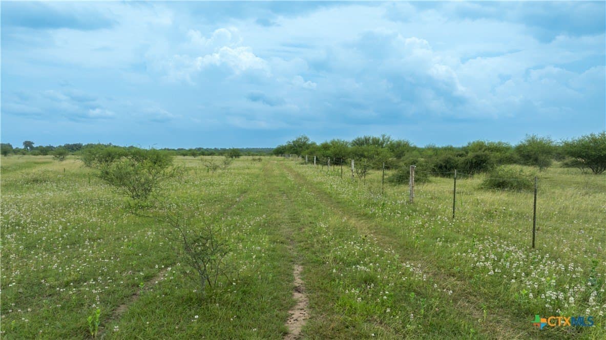 10.01 acres in DeWitt County - photo 7