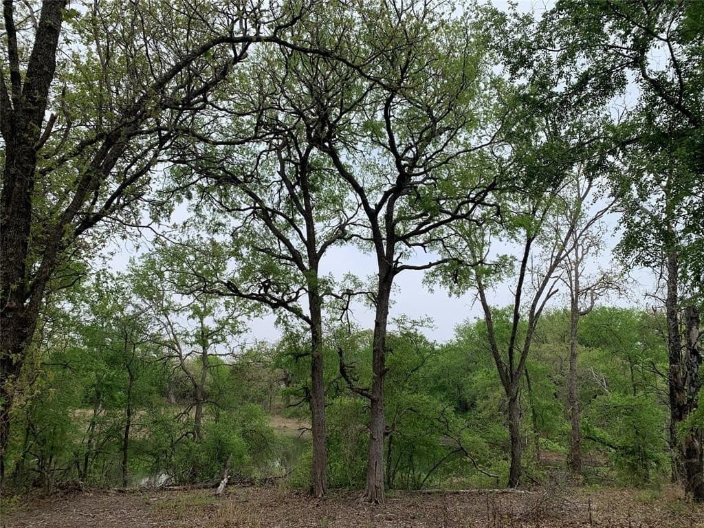 4.03 acres in Somervell County - photo 9