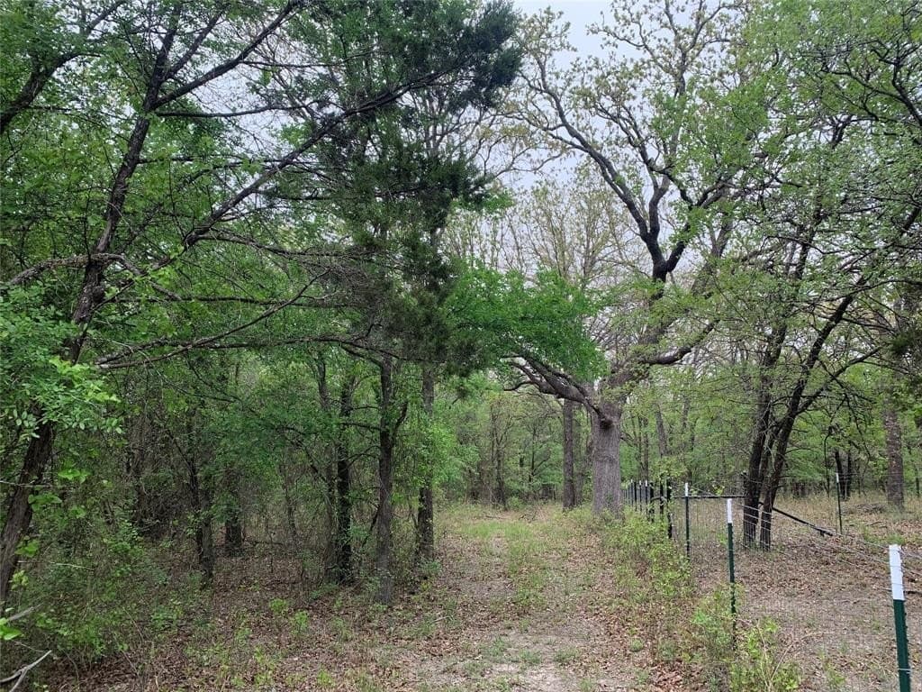 4.03 acres in Somervell County - photo 27