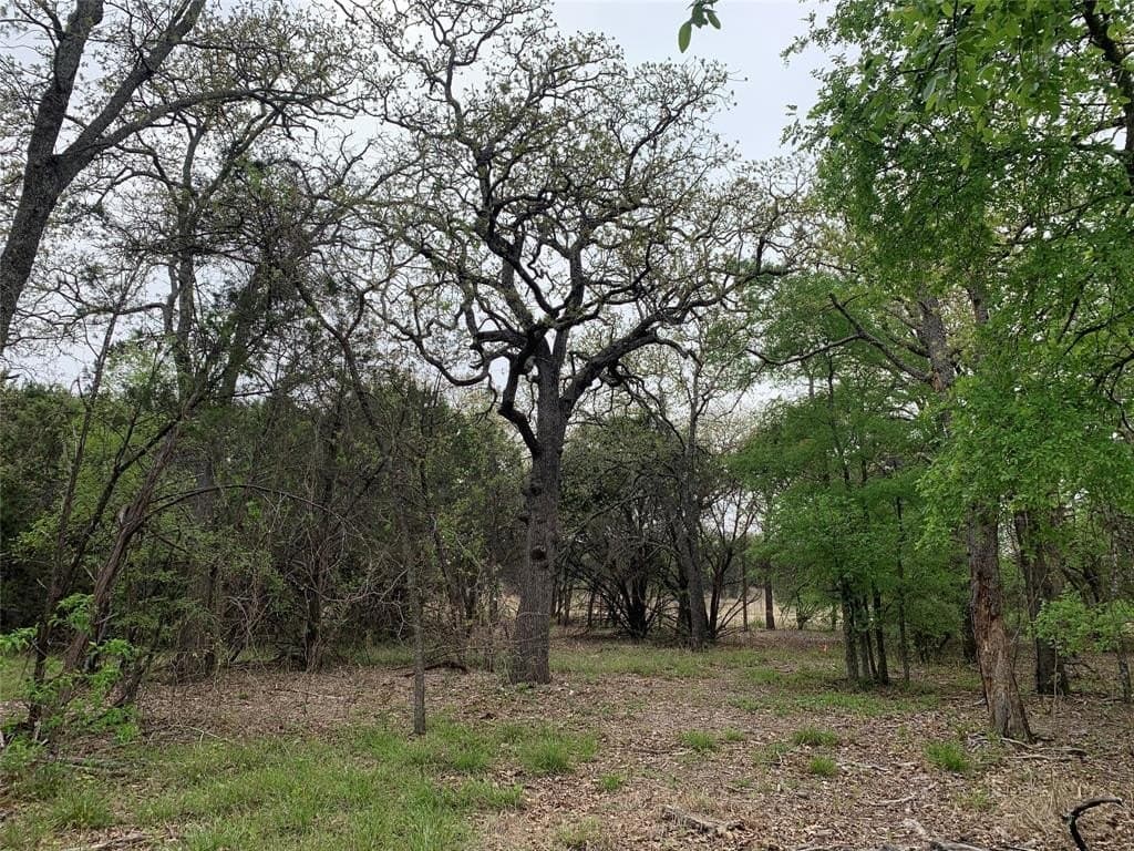 4.03 acres in Somervell County - photo 8
