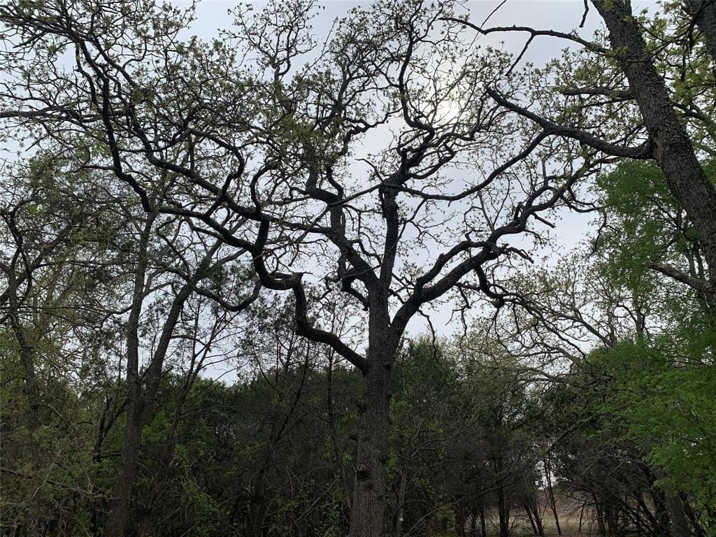 4.03 acres in Somervell County - photo 28