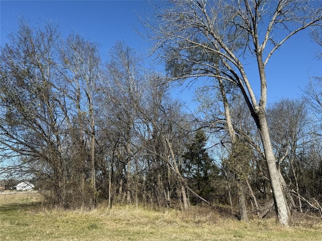 1.12 acres in Navarro County - photo 29