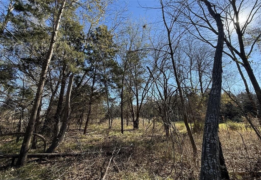 1.12 acres in Navarro County - photo 32