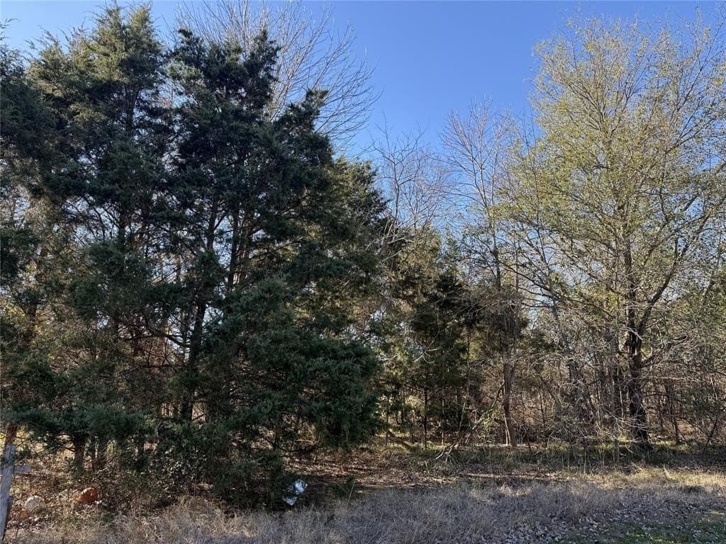 1.12 acres in Navarro County - photo 22