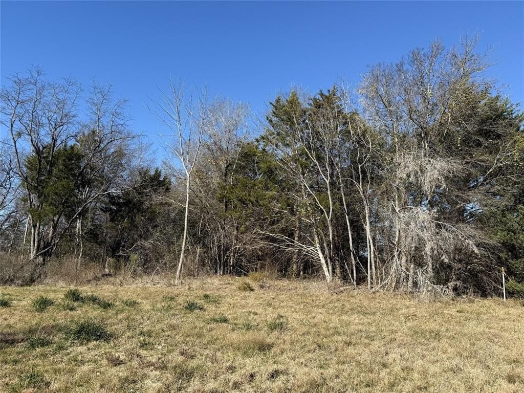 1.12 acres in Navarro County - photo 21