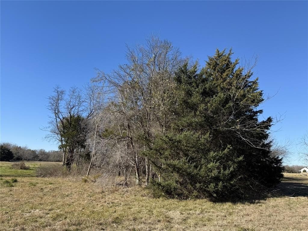 1.12 acres in Navarro County - photo 19