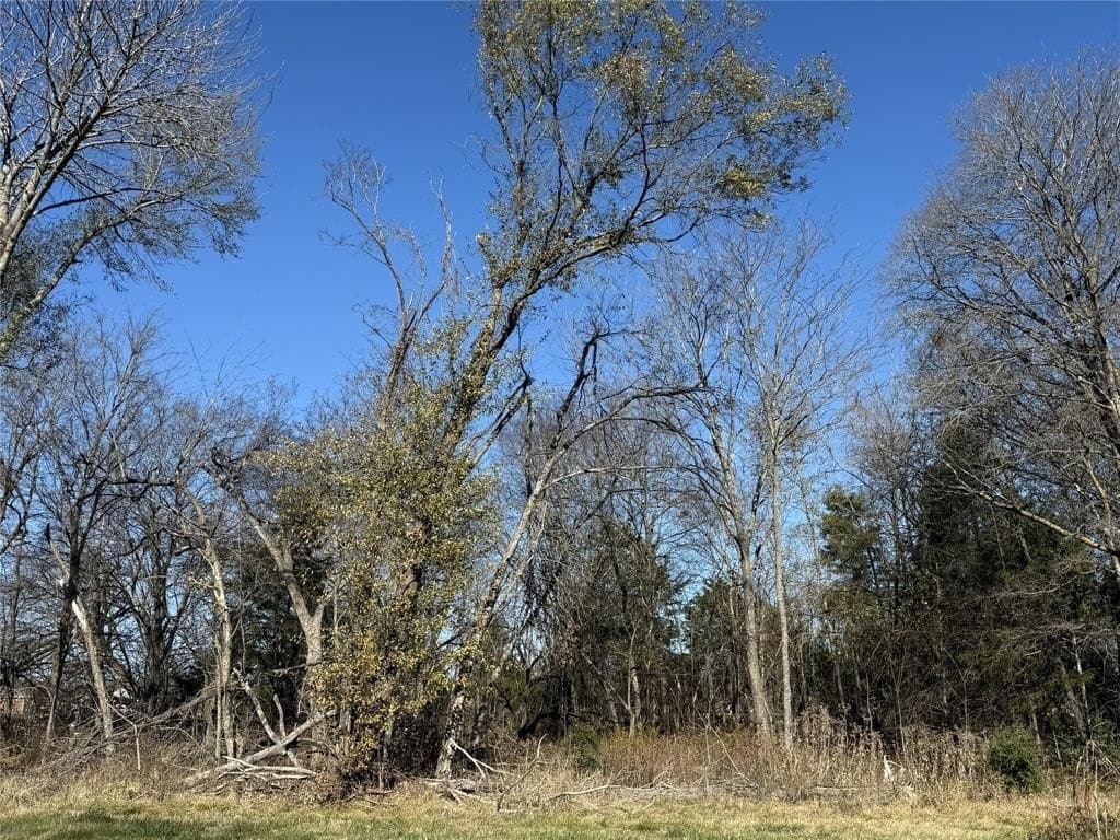1.12 acres in Navarro County - photo 28