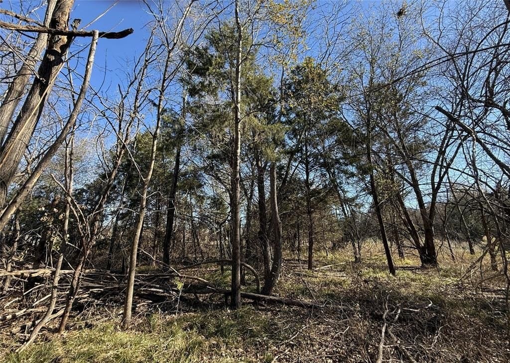 1.12 acres in Navarro County - photo 30