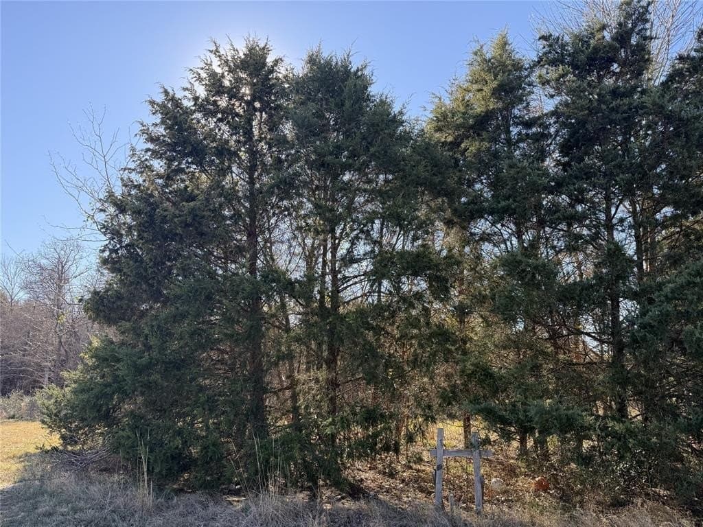 1.12 acres in Navarro County - photo 23