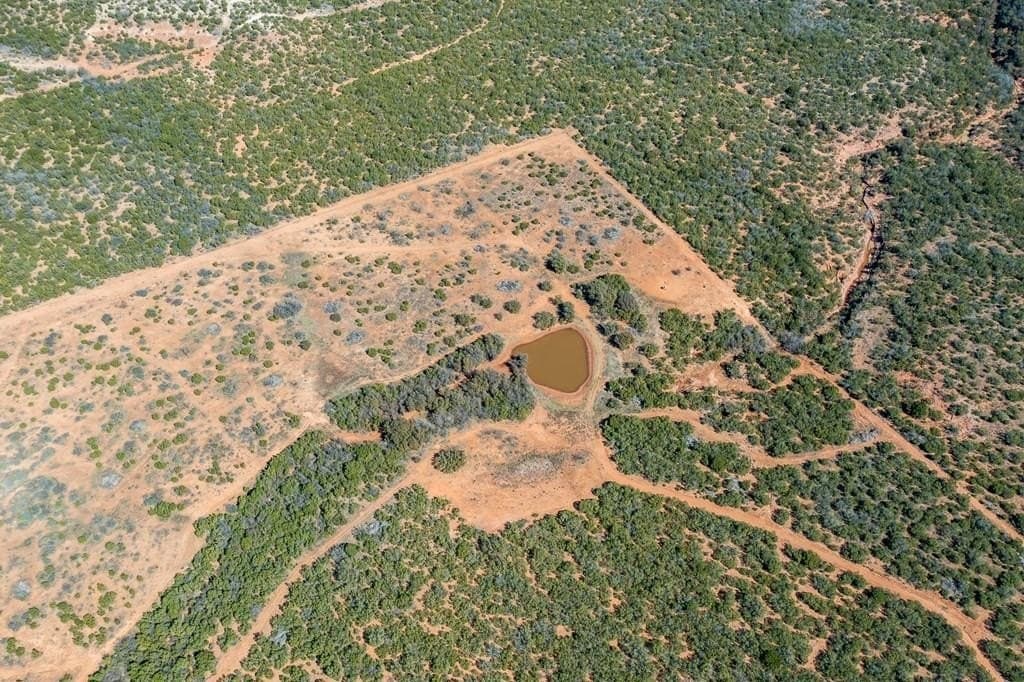 347.27 acres in Nolan County - photo 7