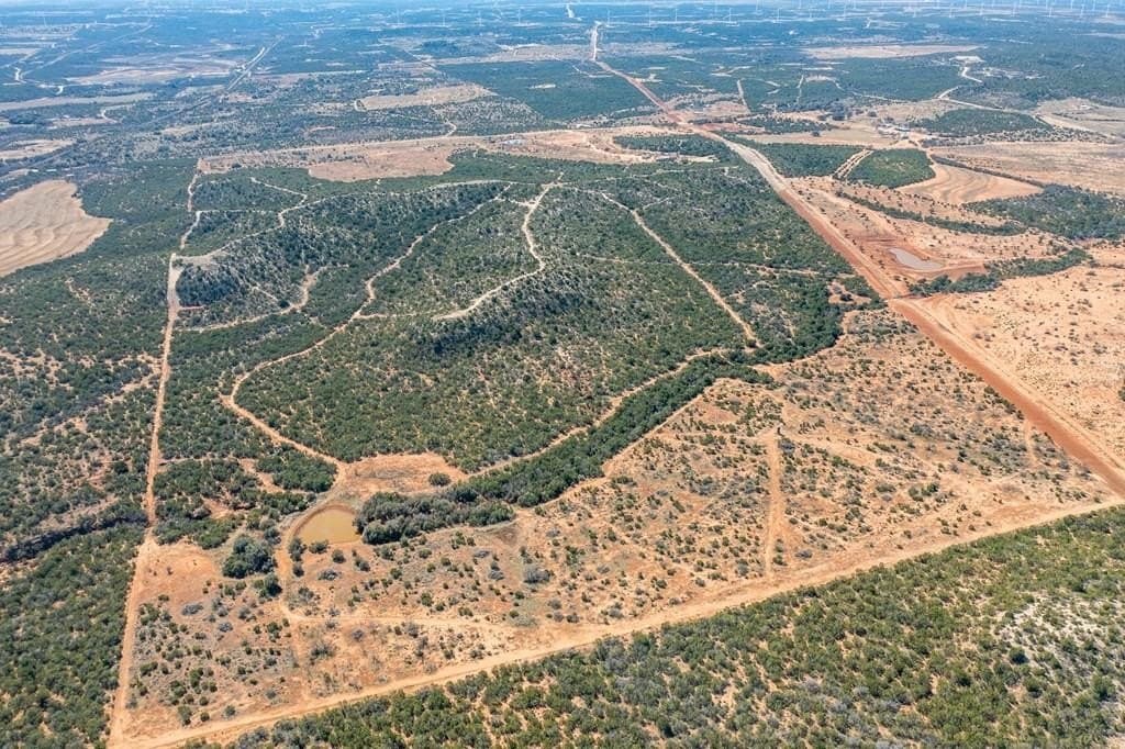 347.27 acres in Nolan County - photo 9