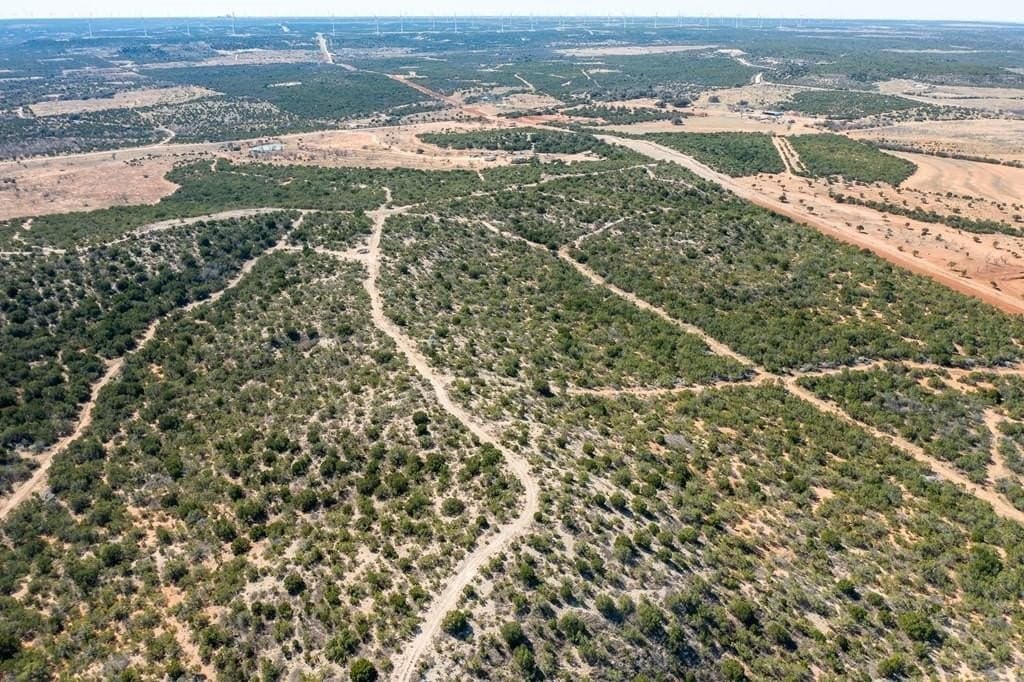 347.27 acres in Nolan County - photo 8