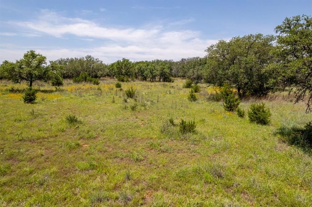 53.97 acres in Mills County - photo 4