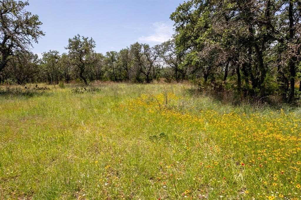 53.97 acres in Mills County - photo 7