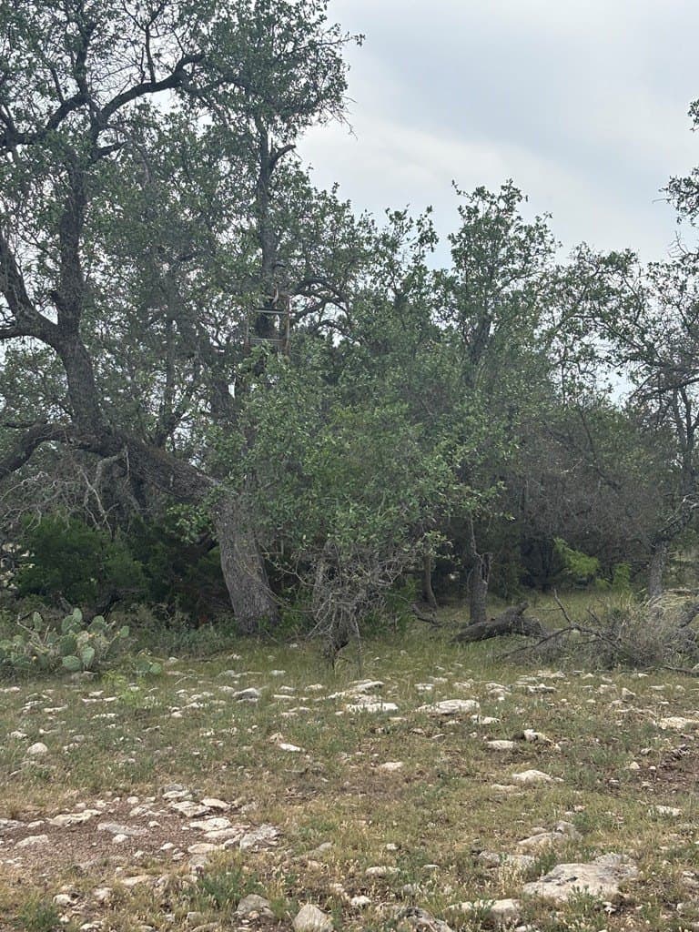 39.25 acres in Schleicher County - photo 21