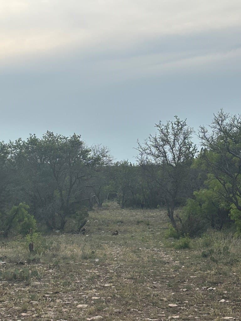 39.25 acres in Schleicher County - photo 9